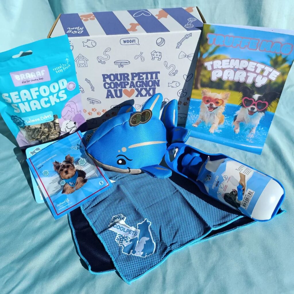 Photo de la box de juillet 2025 de Itsy bitsy dog box sur le thème trempette party