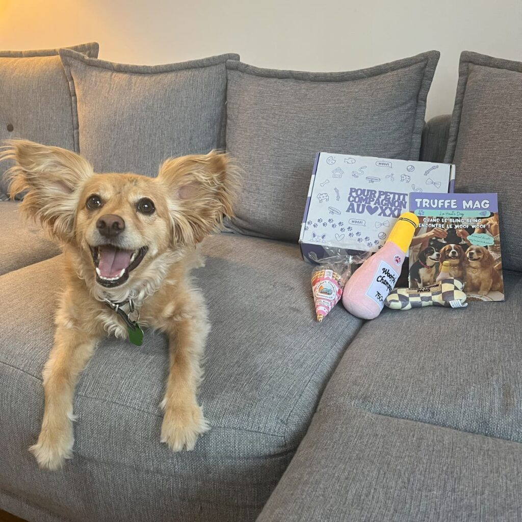 Exemple de la box de juin 2025 avec le chien en train de sourrire sur le canapé